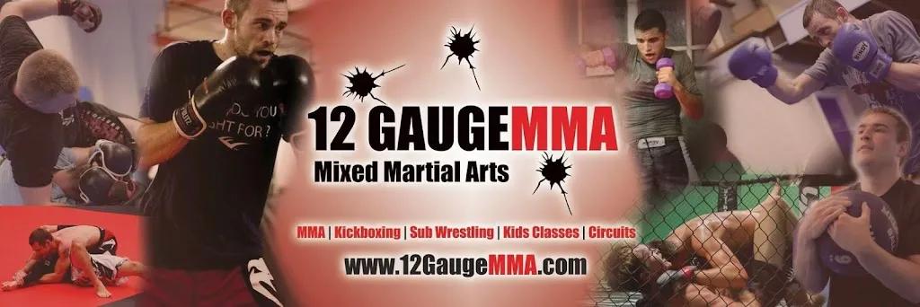 12 Gauge MMA featured image