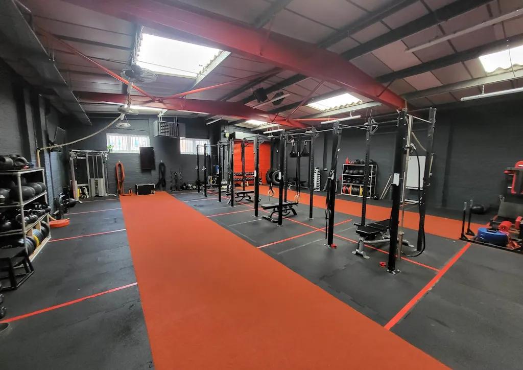 1st4Fitness - Redefine Your Prime featured image