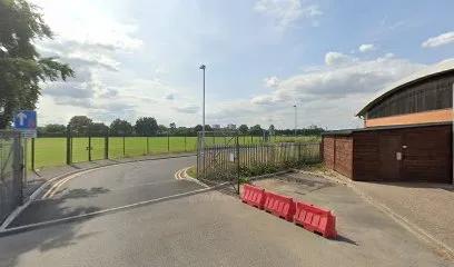 Alternative Movement featured image