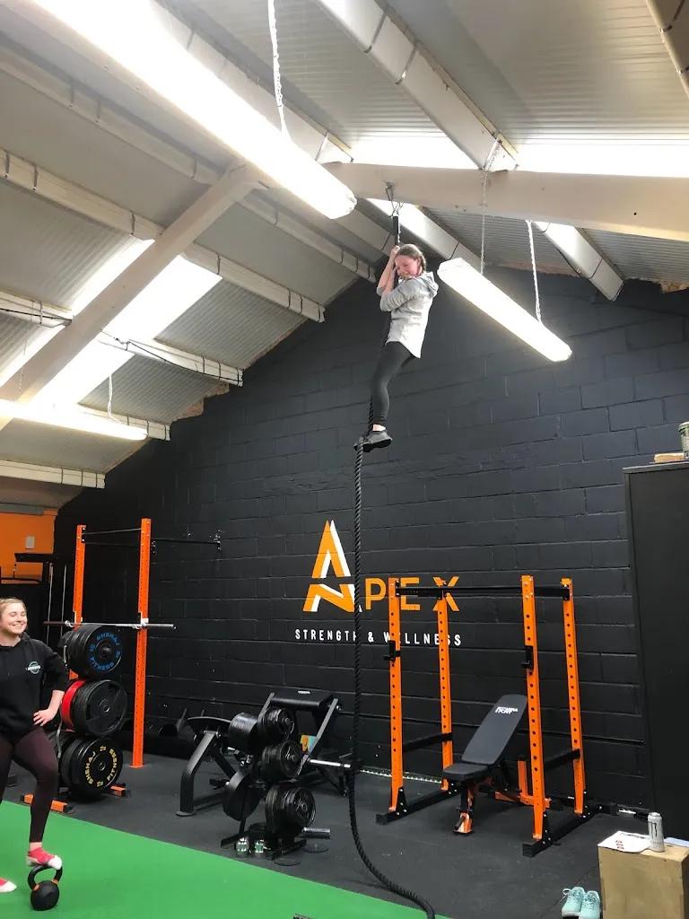 Apex Strength and Wellness featured image