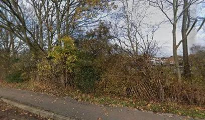 Ash Green Sports Centre featured image