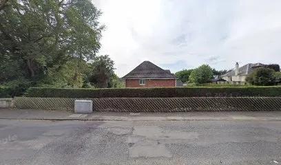 Bloom In Fitness featured image