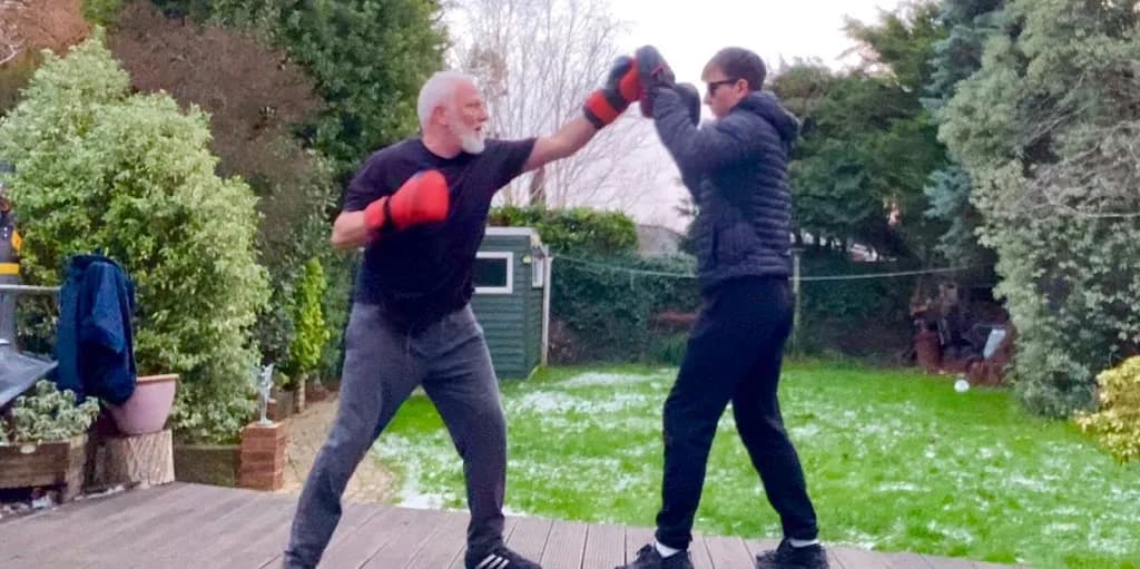 Bobs boxing featured image