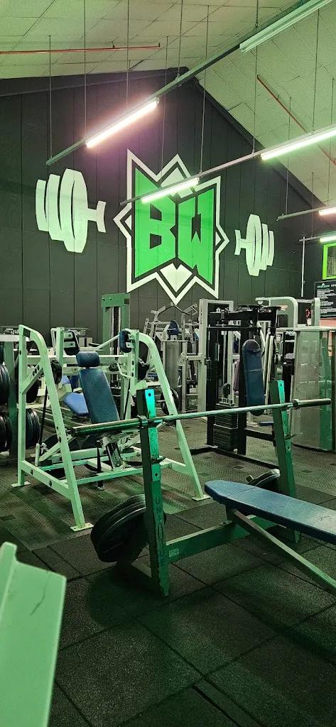 Bodywize Evolved featured image