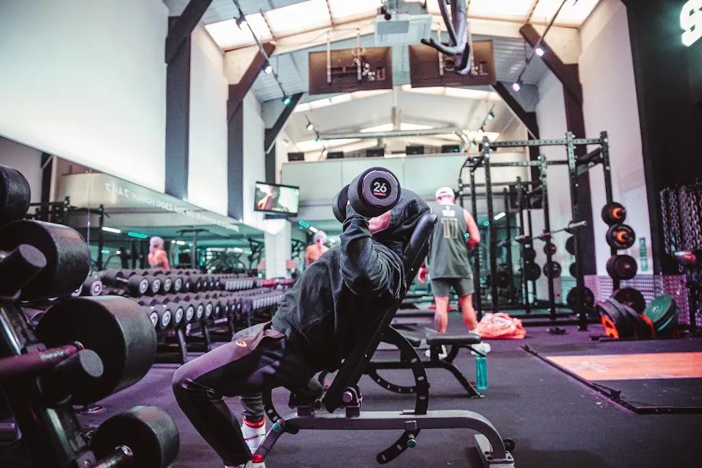 Bornefit featured image