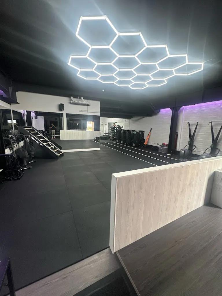 Company X featured image