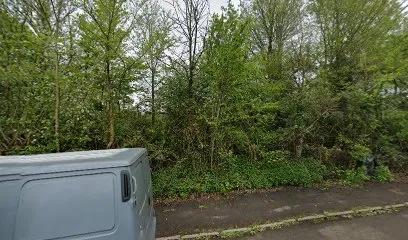 CrossFit UVA featured image