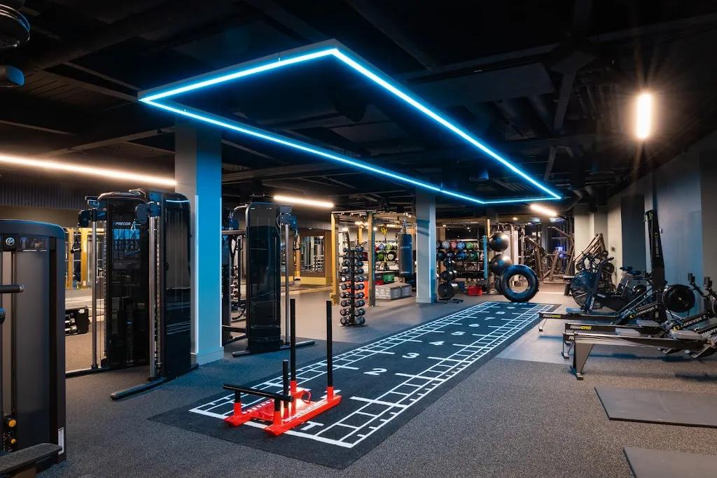 David Lloyd Kingston featured image