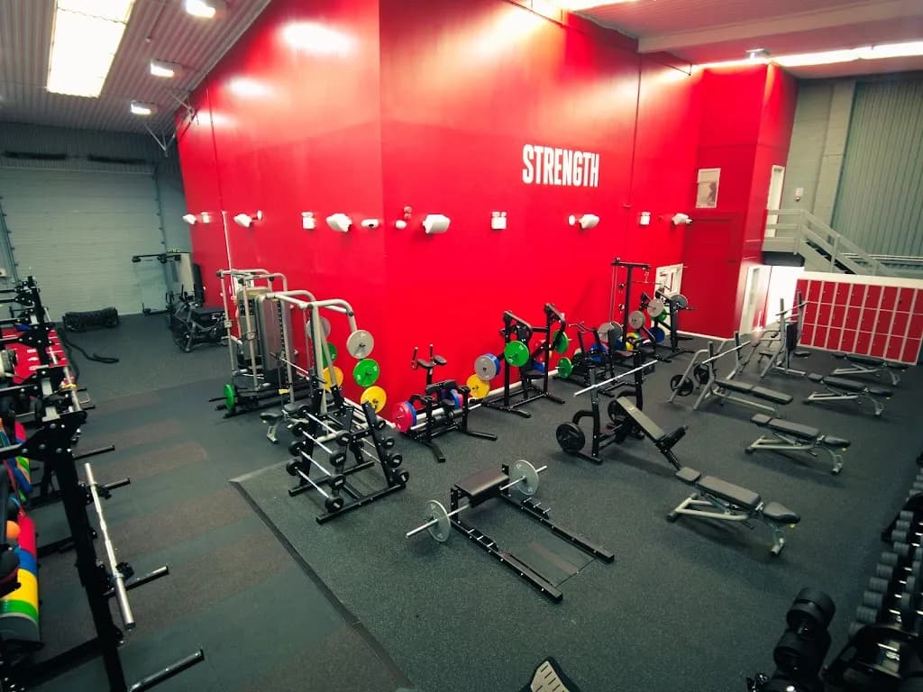 Diverse Gym & Reformer Pilates featured image