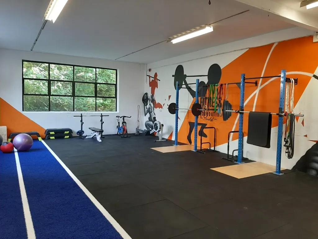 DM Fitness featured image