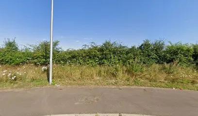 Elements Fitness Training featured image