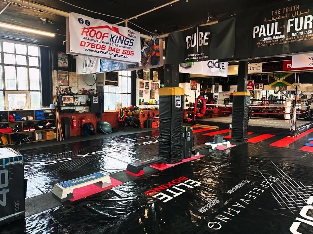 Elite Boxing featured image