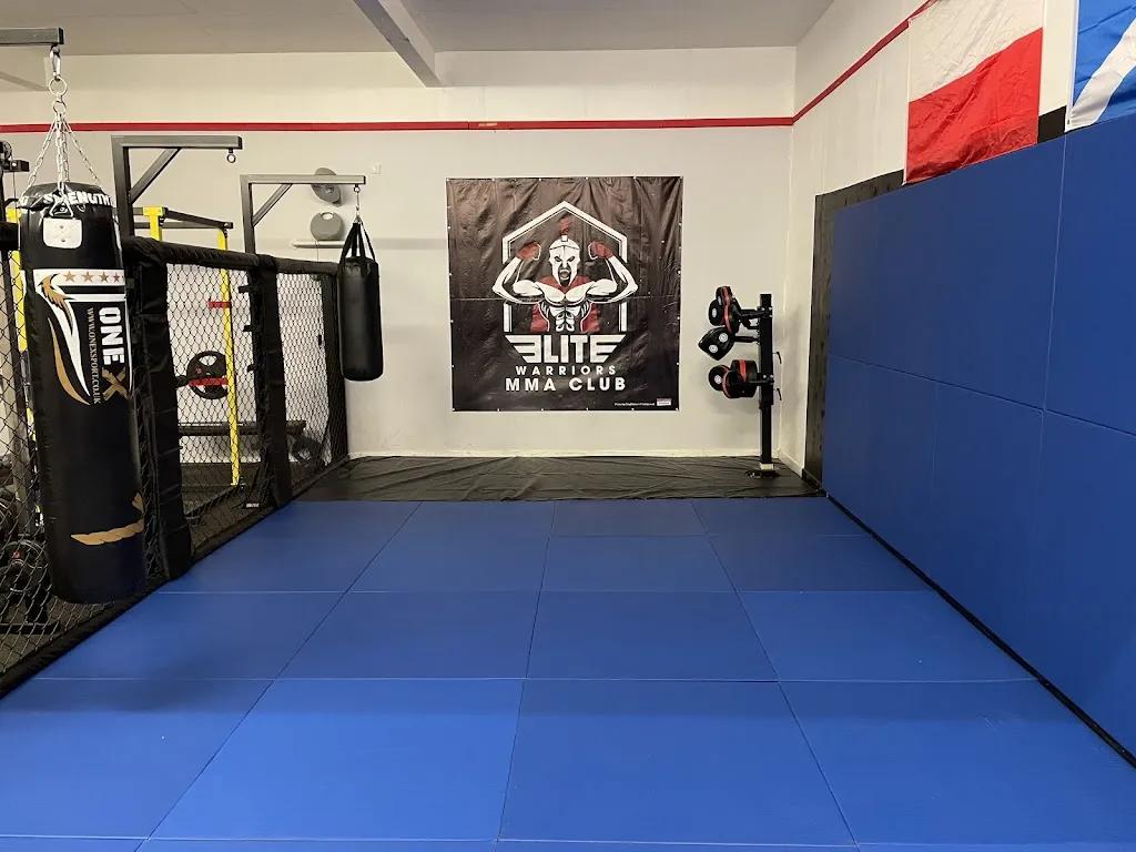 Elite Warriors Edinburgh featured image
