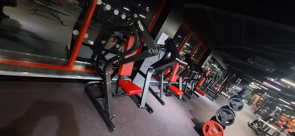 Everlast Gyms featured image