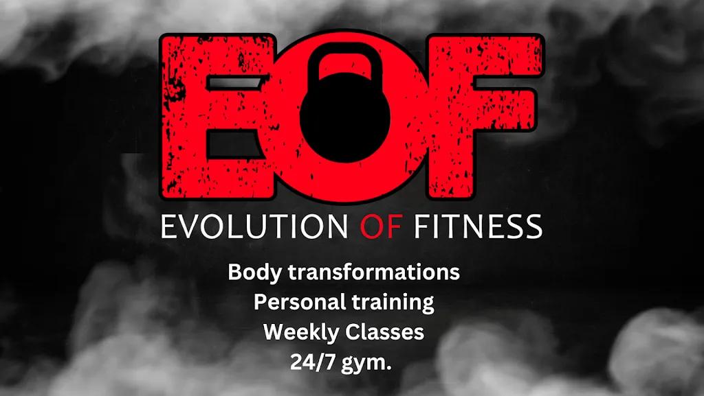 Evolution OF Fitness featured image