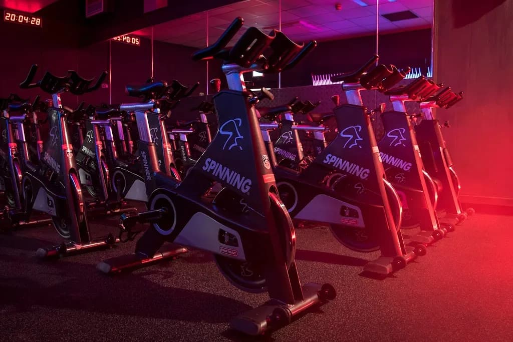 Fitness First featured image