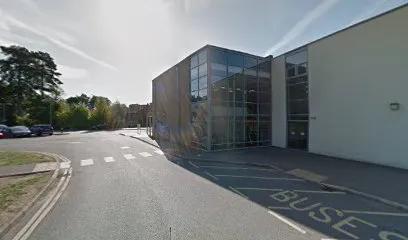 Fitness Flex featured image