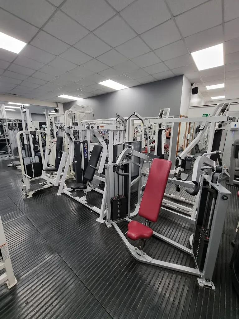 Flex Appeal featured image