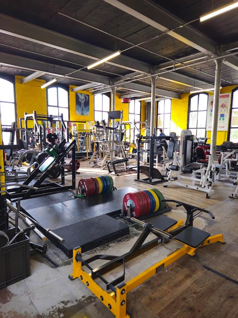 Flex 'n' Tone featured image