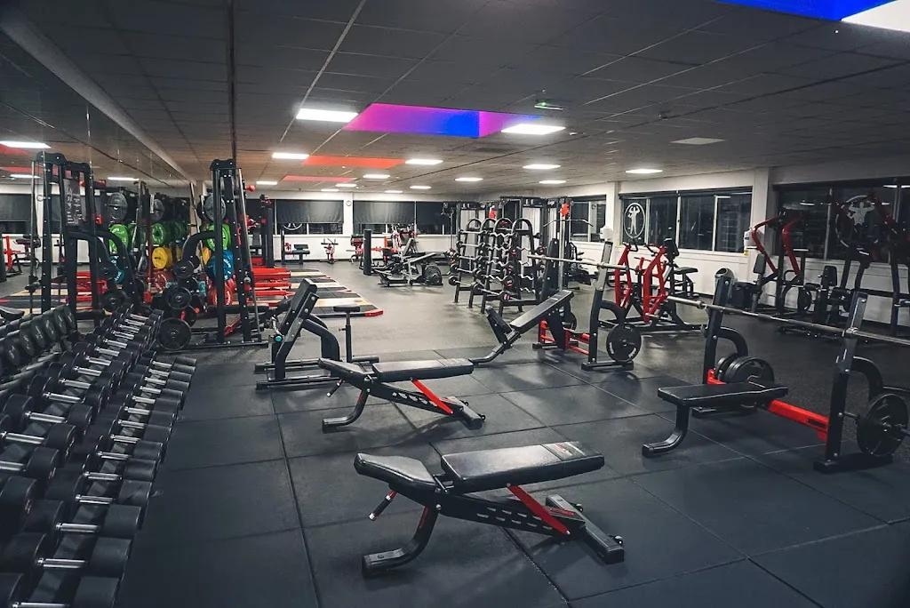 Force Fitness featured image