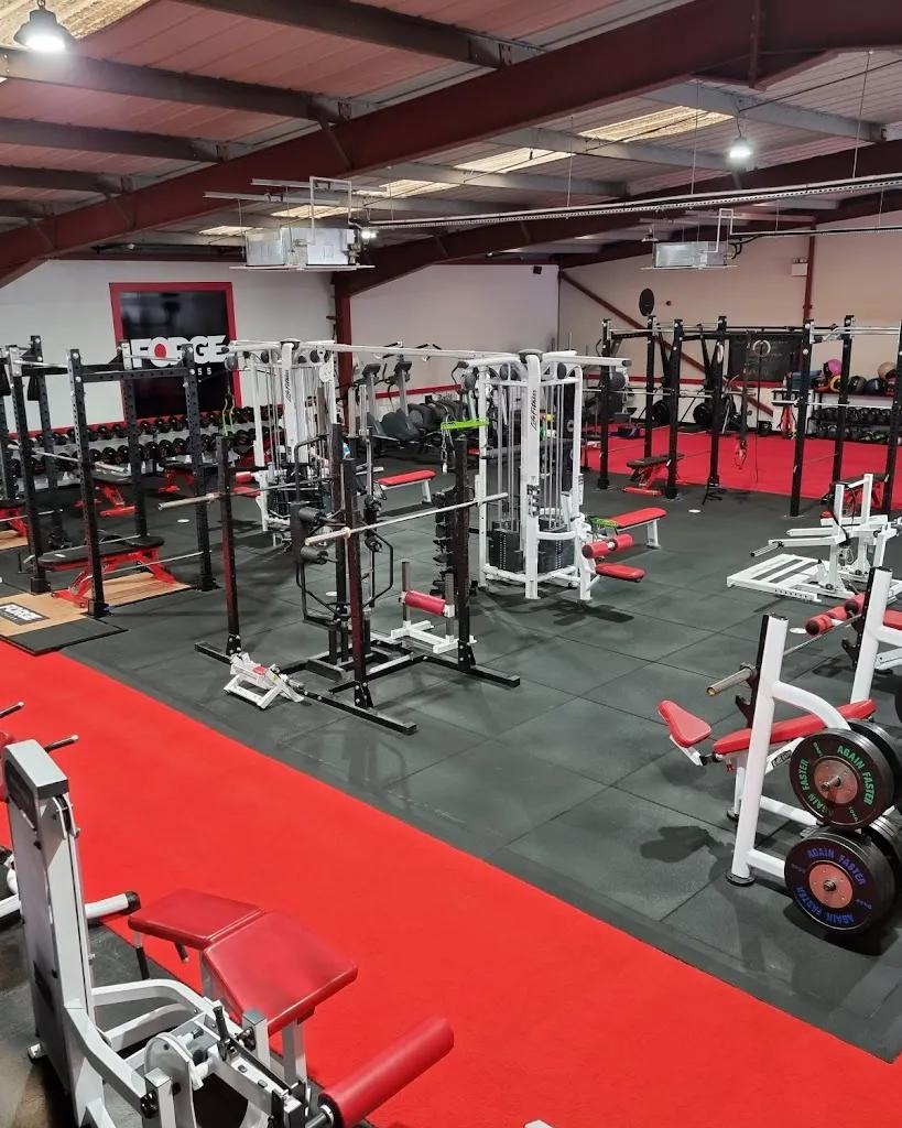Forge Fitness featured image
