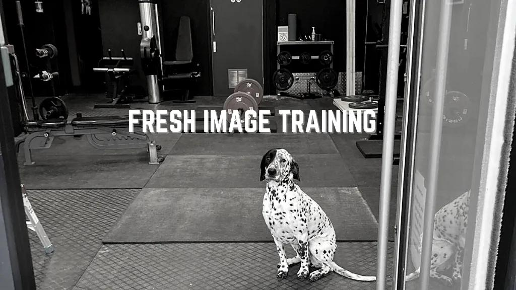Fresh Image Training featured image