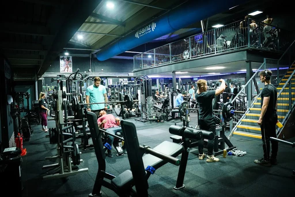 Gainz Fitness & Strength featured image