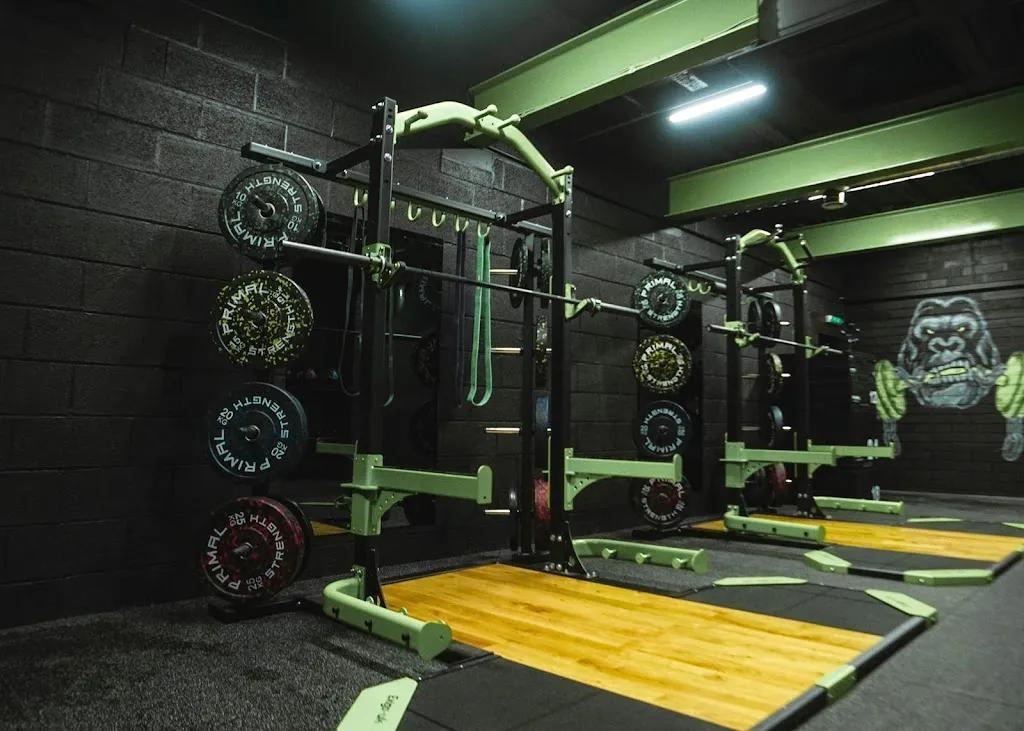 Gorilla Fitness featured image