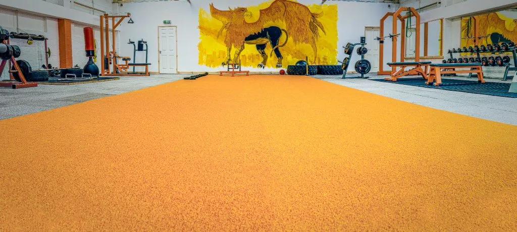 Griffin Fit Ltd featured image