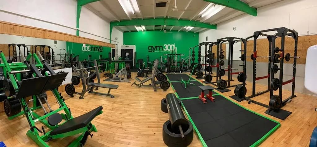 Gym300 Ltd featured image