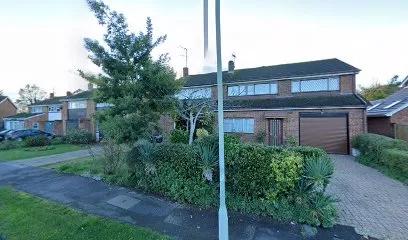 GymCats featured image