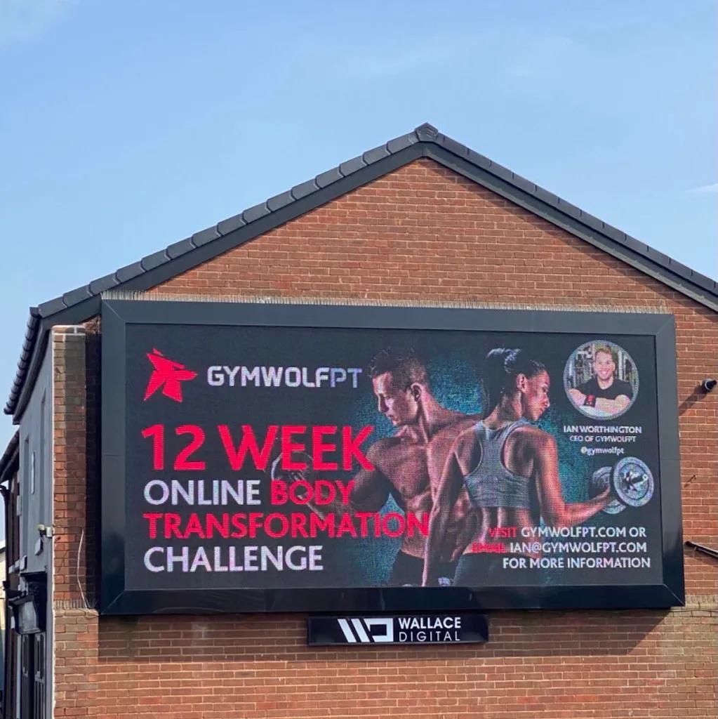 GymWolfPT - Fitness Solutions featured image