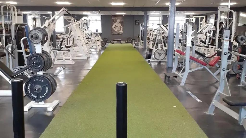 Hollinwood Muscle And Fitness With Hollinwood Nutrition featured image