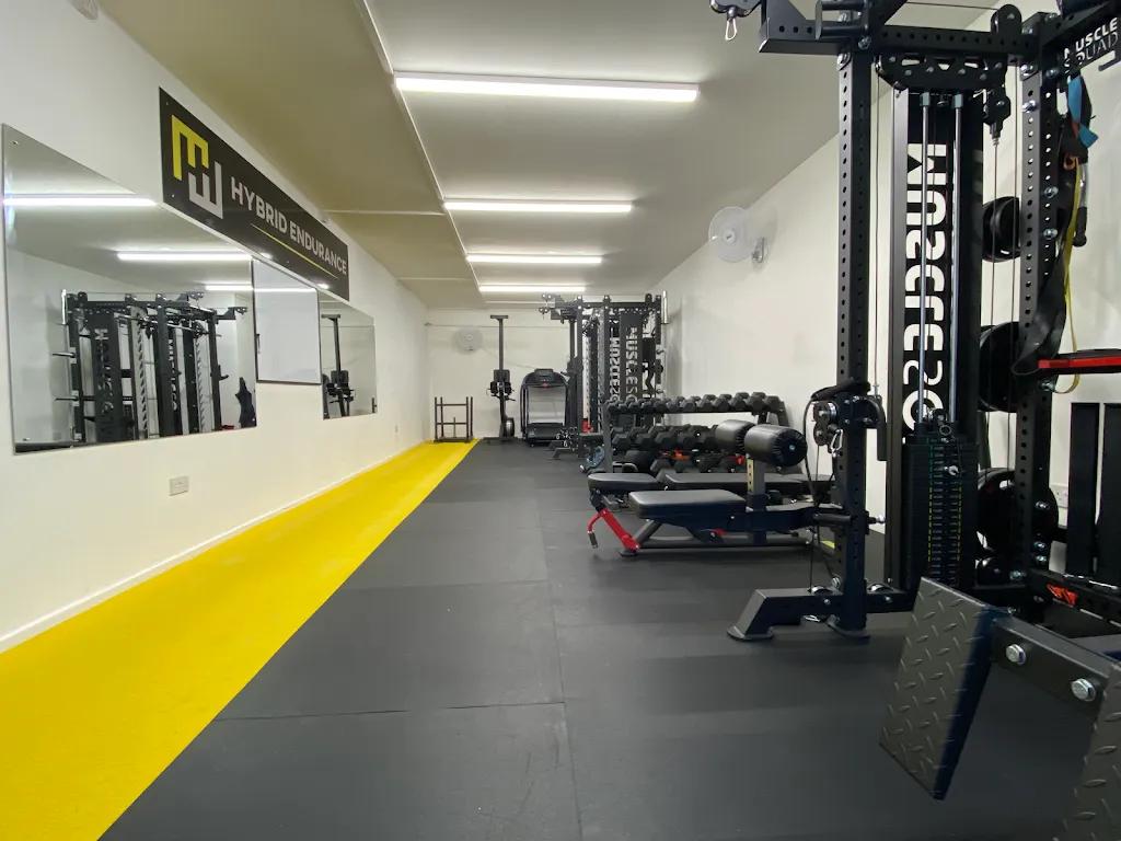 Hybrid Endurance featured image