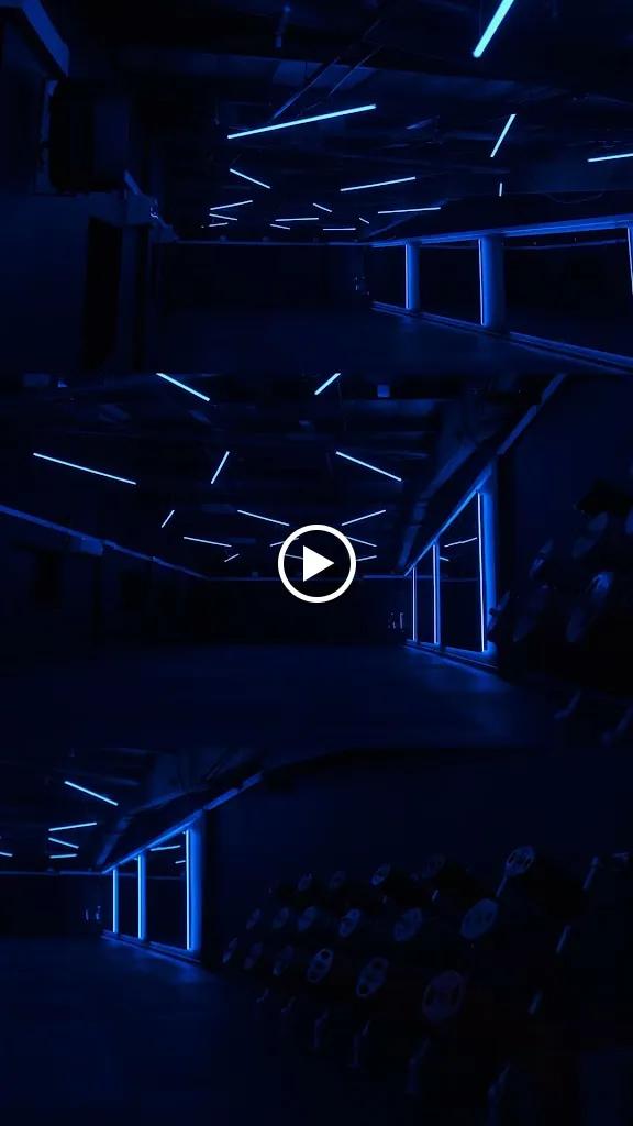 Insane Fitness featured image