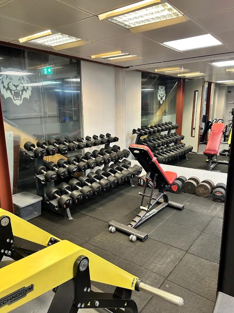 Iron Foundry Gym and Fitness featured image