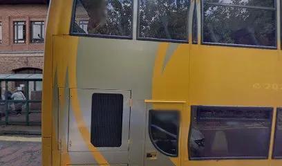 Level Up Personal Training featured image