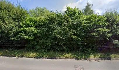 MACE FITNESS HUB featured image