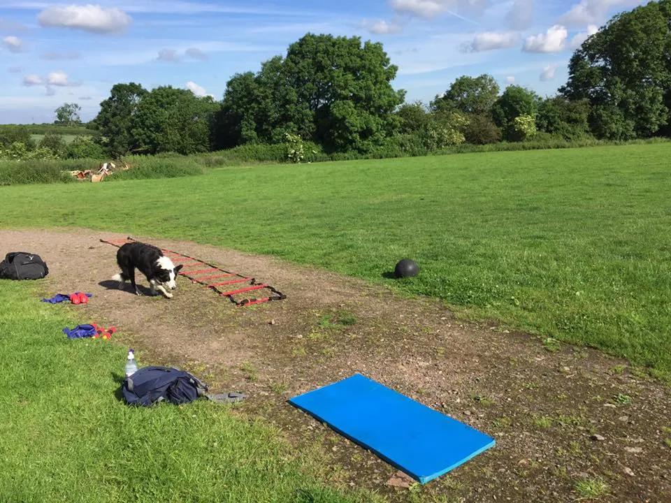 MH Health & Fitness featured image