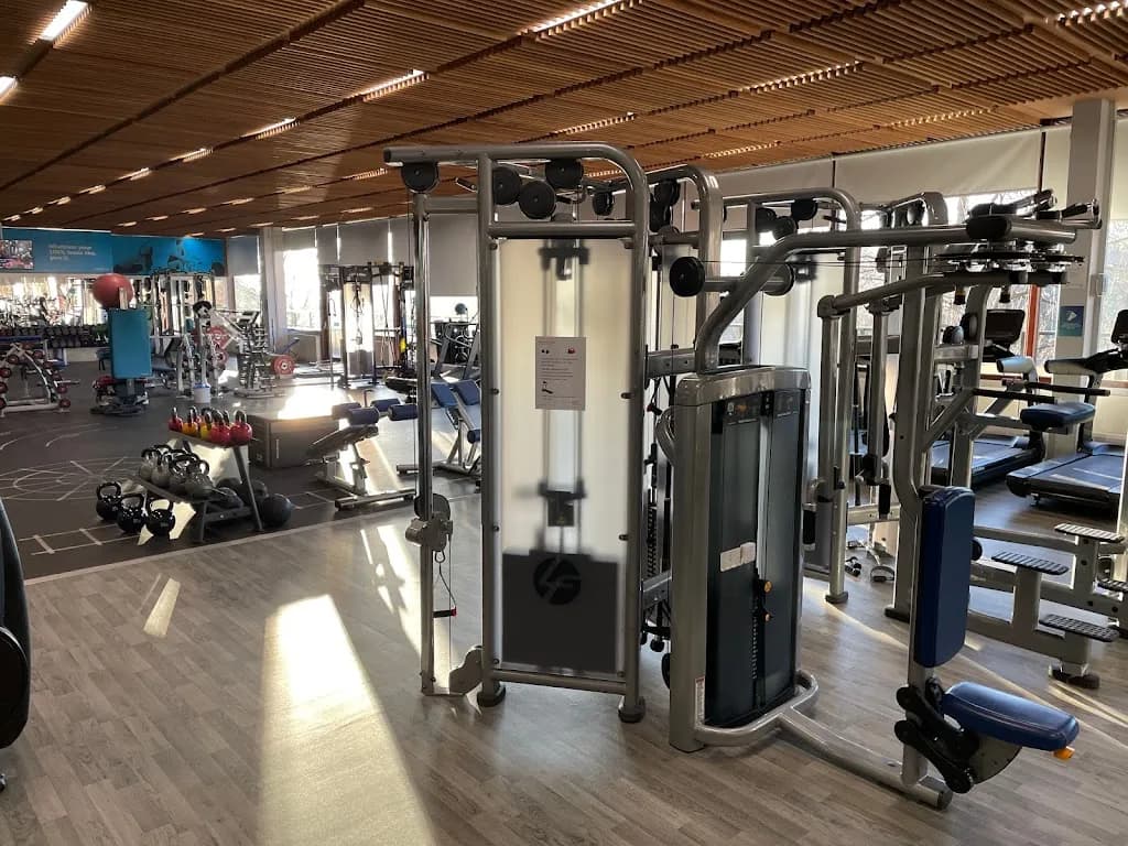 Mike Heatlie Personal Training Ltd featured image