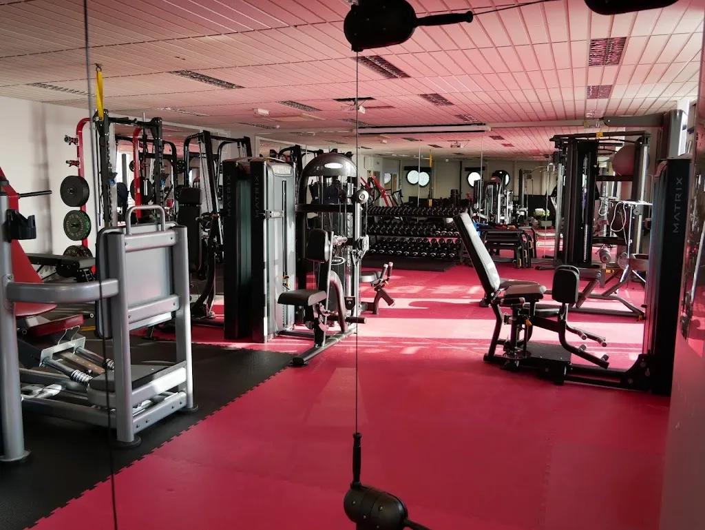 MSF Fitness featured image