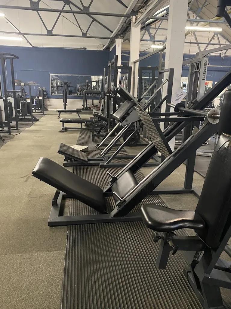 Muscle & Fitness Gymnasiums featured image