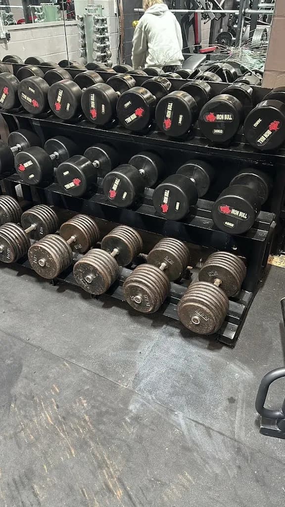 Muscle & Mind Fitness featured image