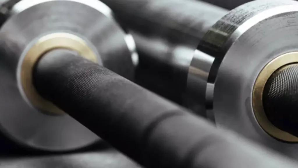 Muscle19 featured image