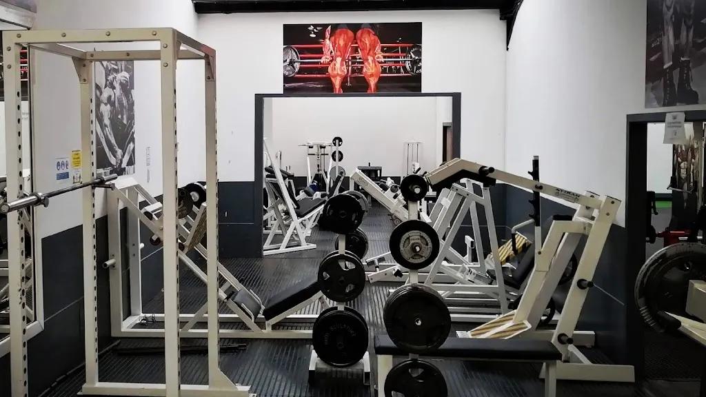 Musclefactory Gymnasium featured image