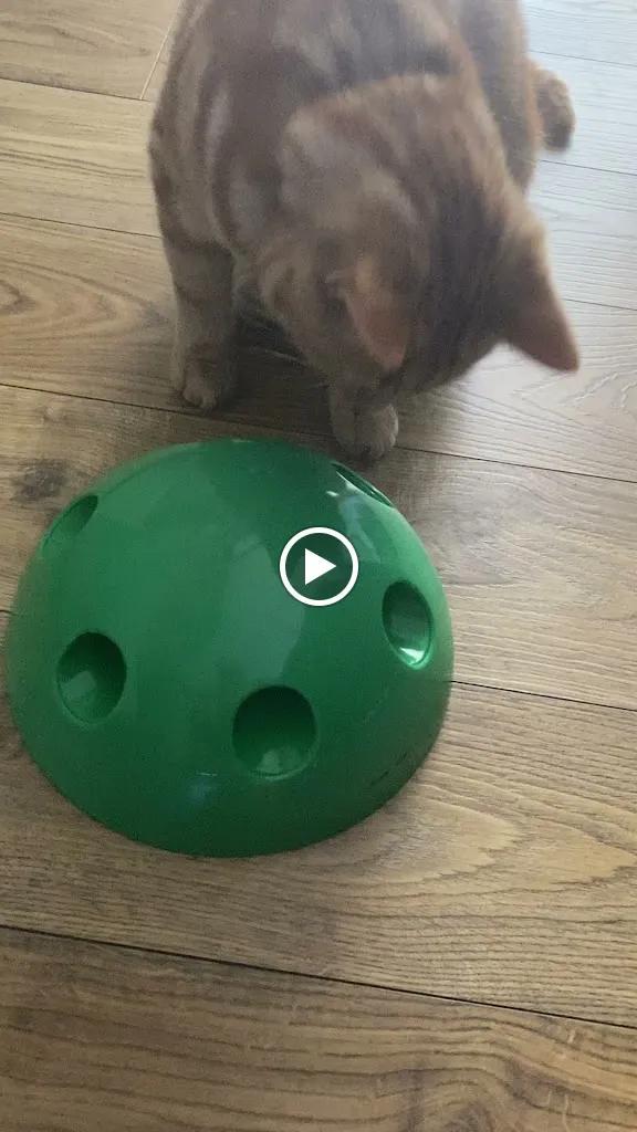 No Fks Fitness featured image