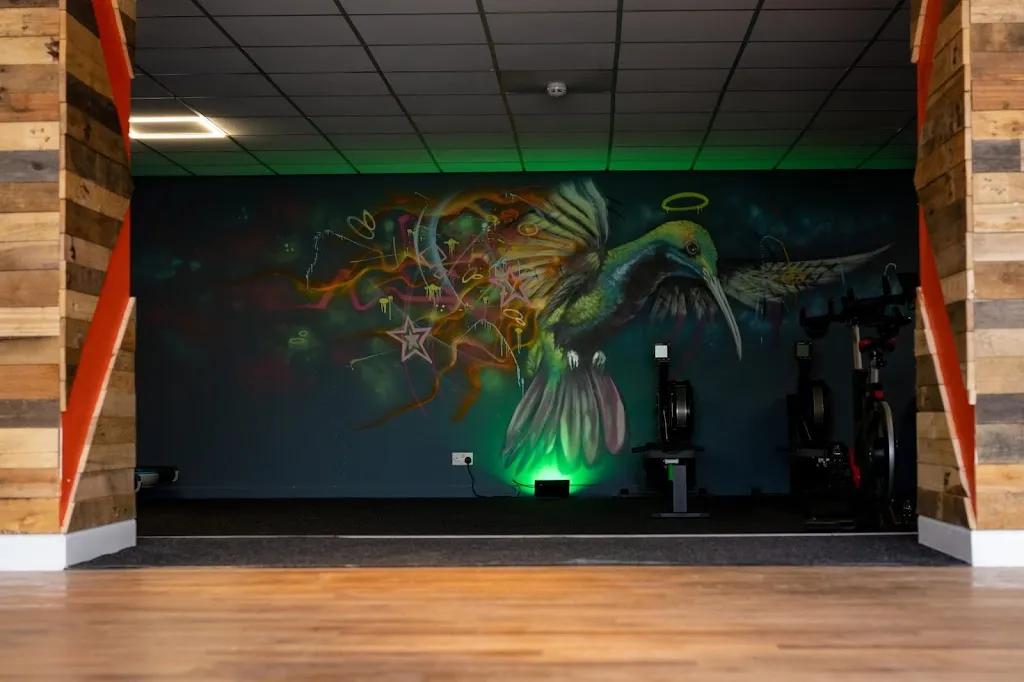 Optimus Gym Chichester featured image