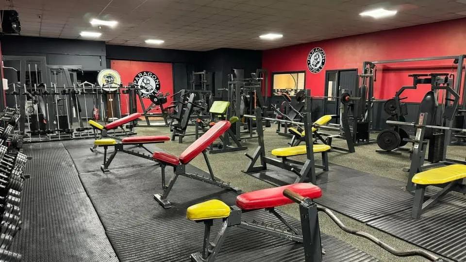 Paragon Muscle and Fitness Gym featured image