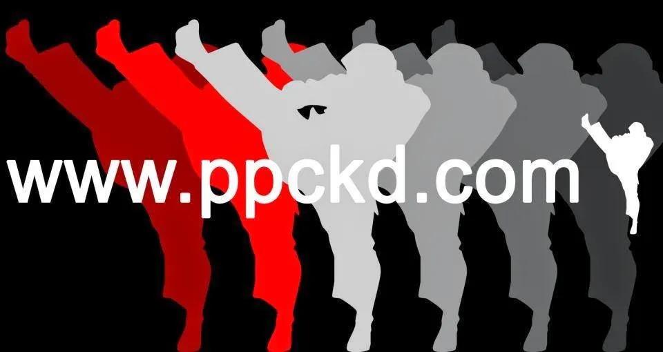 Peak Performance Martial Arts and Fitness - Horley featured image