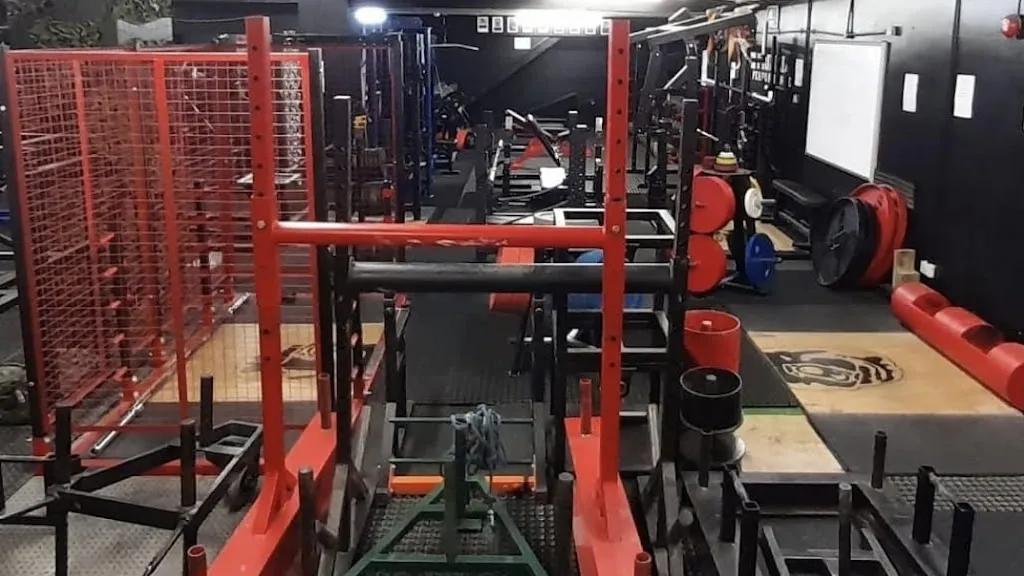 Primal Performance Gym featured image